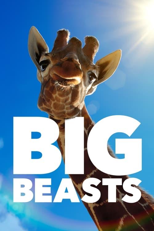 Big Beasts dizi afişi