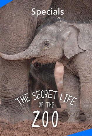 The Secret Life of the Zoo Sezon 0