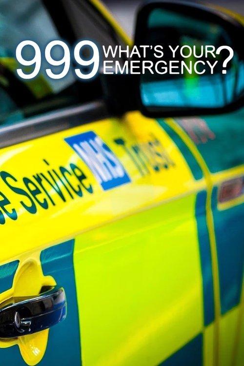 999: What's Your Emergency? dizi afişi
