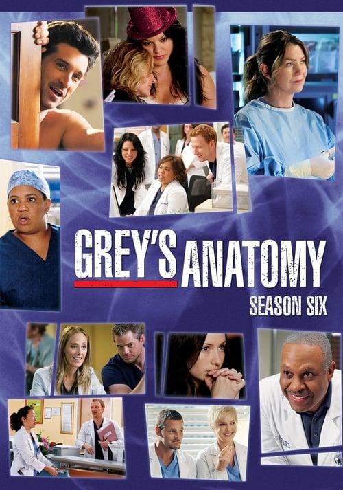Grey's Anatomy Sezon 6