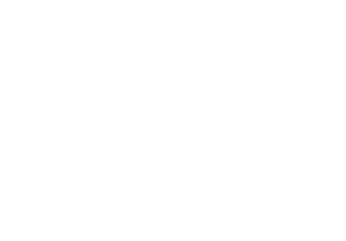 Big Shot logo