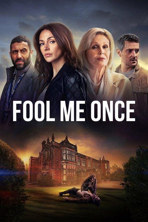 Fool Me Once dizi afişi