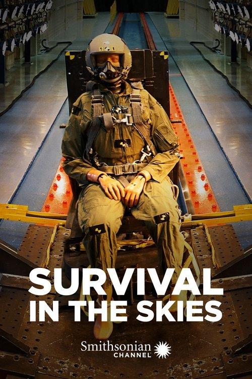Survival in the Skies dizi afişi