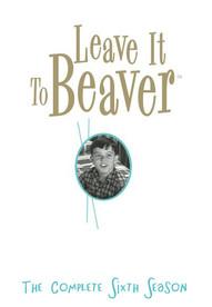 Leave It to Beaver Sezon 6
