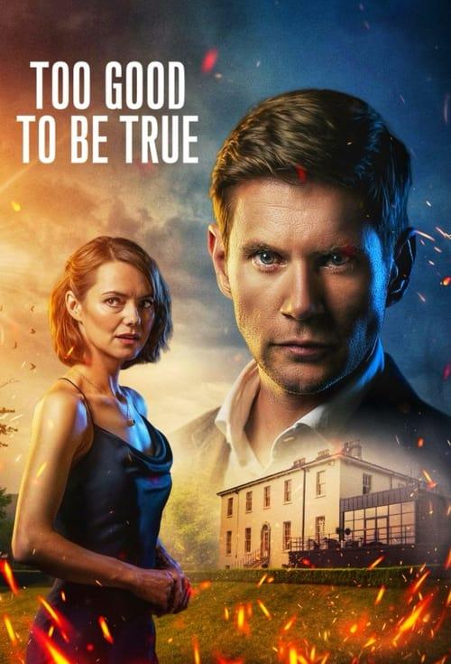 Too Good to Be True dizi afişi