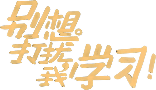 Don't Disturb My Study logo