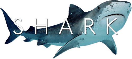Shark logo