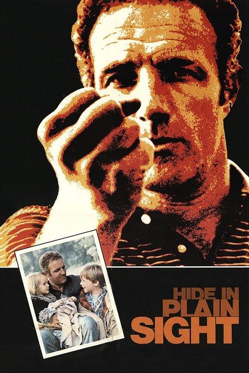 Hide in Plain Sight film afişi