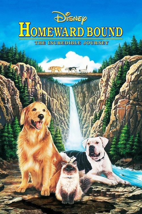 Homeward Bound: The Incredible Journey film afişi