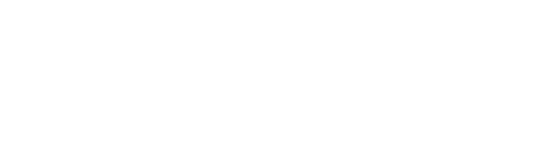 The Next 365 Days logo