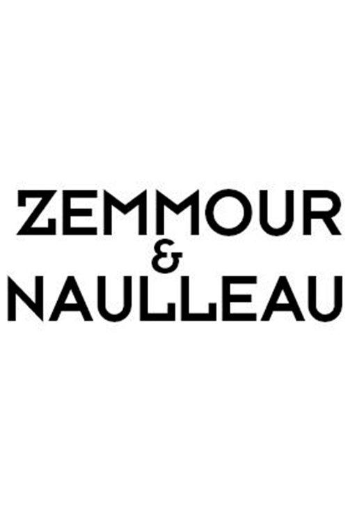 Zemmour et Naulleau dizi afişi