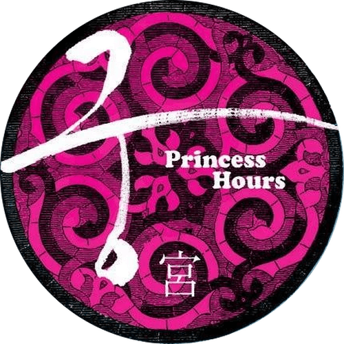Princess Hours logo