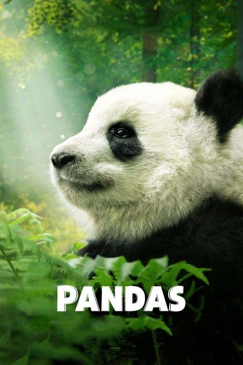 Pandas film afişi