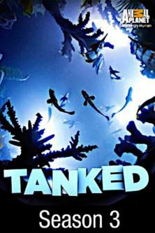 Tanked Sezon 3