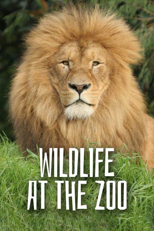 Wild Life At The Zoo dizi afişi
