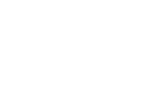 The White Princess logo