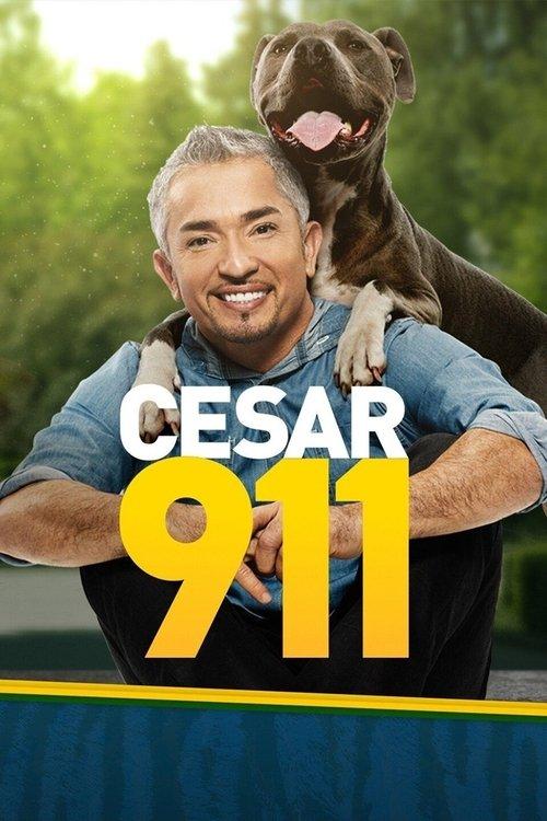 Cesar 911 dizi afişi