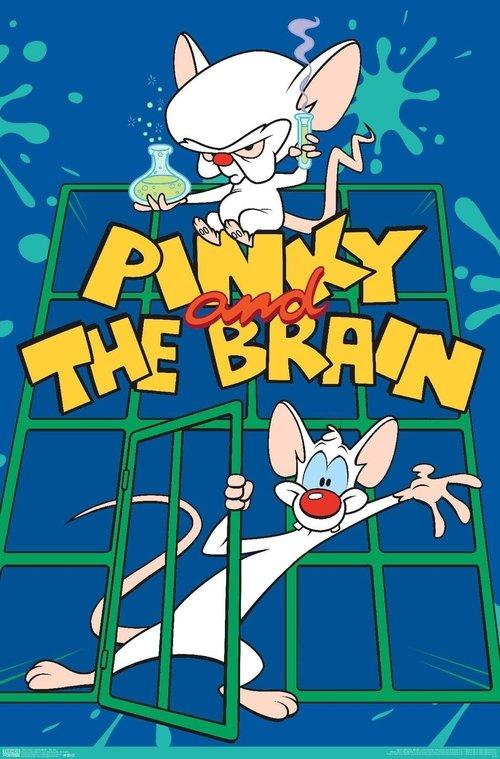 Pinky and the Brain dizi afişi