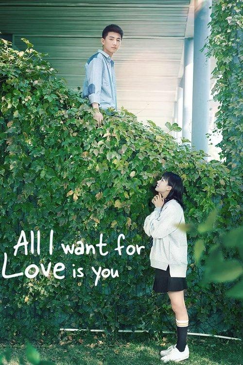 All I Want for Love is You dizi afişi