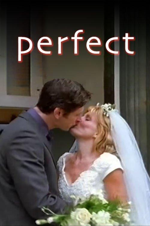 Perfect dizi afişi