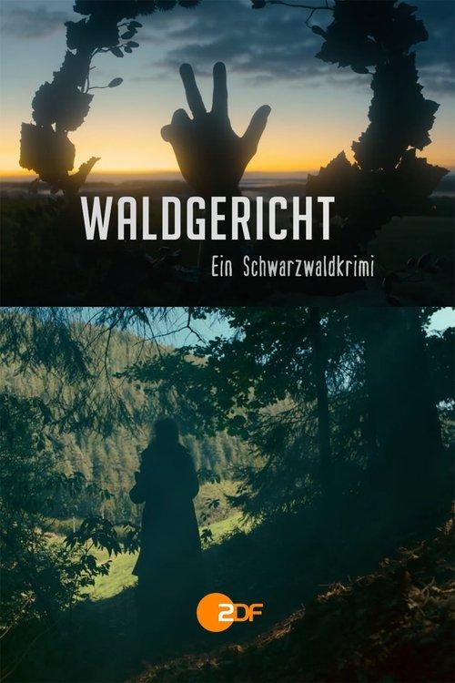Waldgericht - Ein Schwarzwaldkrimi dizi afişi