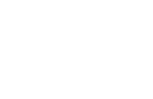 Tiny House Nation logo