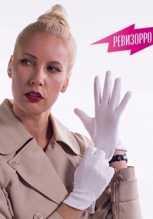 Revizorro dizi afişi