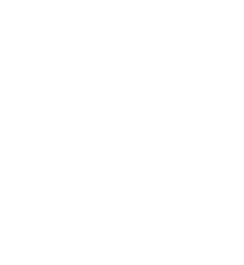Nicky, Ricky, Dicky & Dawn logo