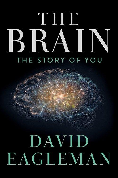 The Brain with David Eagleman dizi afişi