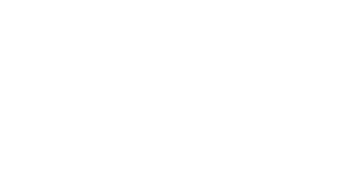 90 Day Fiancé: Just Landed logo