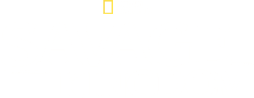 Savage Kingdom logo