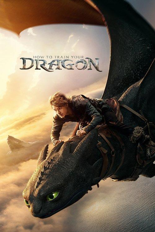 How to Train Your Dragon film afişi