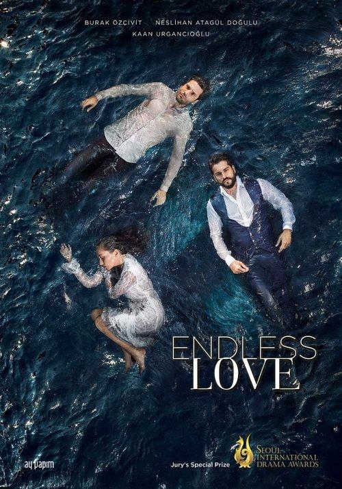 Endless Love dizi afişi