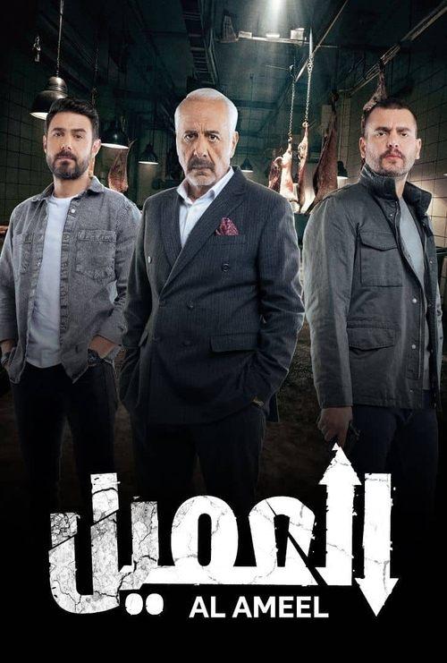 The Agent dizi afişi
