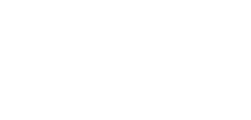 The Red Sleeve logo