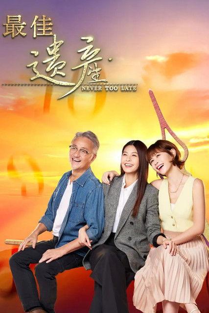 Never Too Late dizi afişi