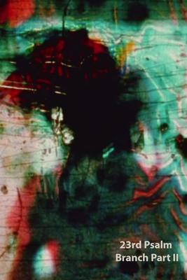 23rd Psalm Branch: Part II film afişi