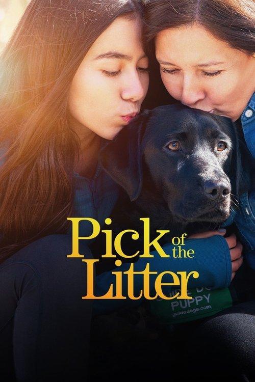 Pick of the Litter dizi afişi