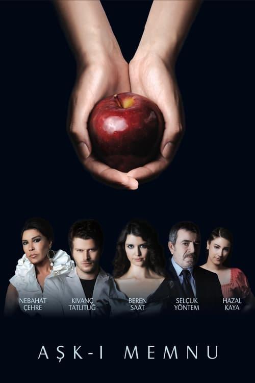 Forbidden Love dizi afişi