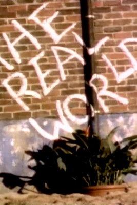 The Real World Sezon 2