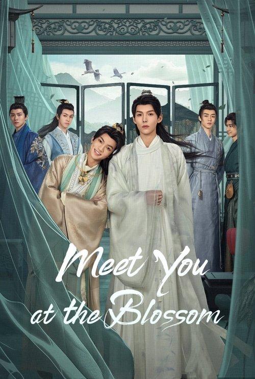 Meet You at the Blossom dizi afişi